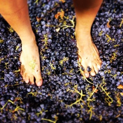 cristina garpes feet 2