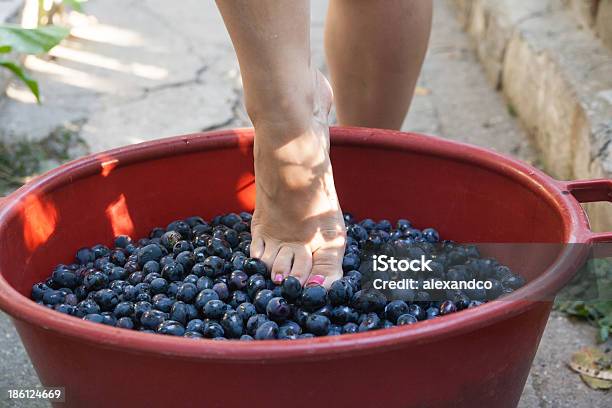 cristina garpes feet 4