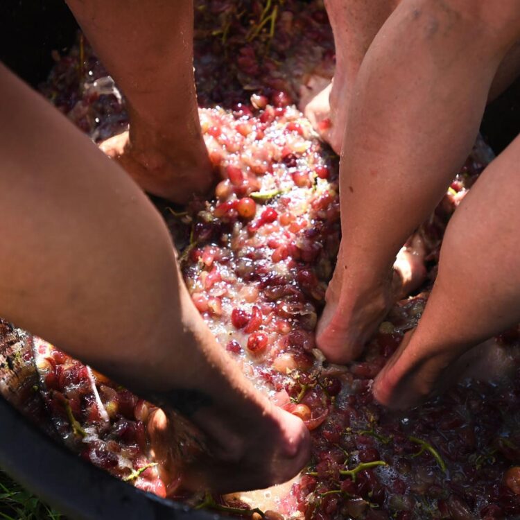 cristina garpes feet 5