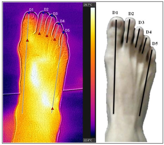 cristina porta acosta feet 5