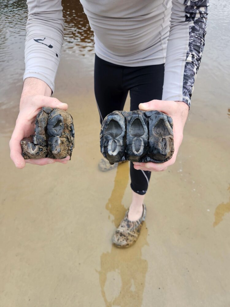 cristina schoonard feet 4