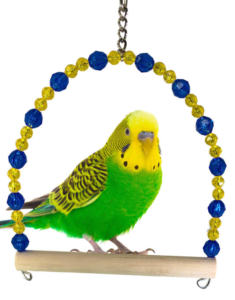 crystal swung feet 3