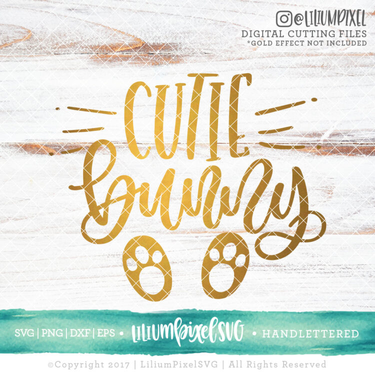 cutie the bunny feet 1