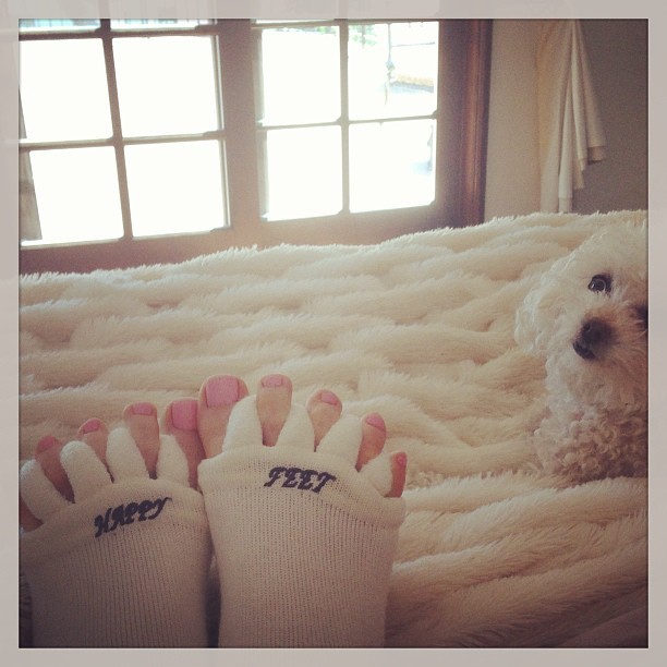 cynthia kirchner feet 4