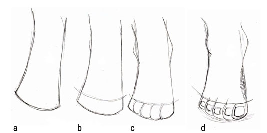 d sketch feet