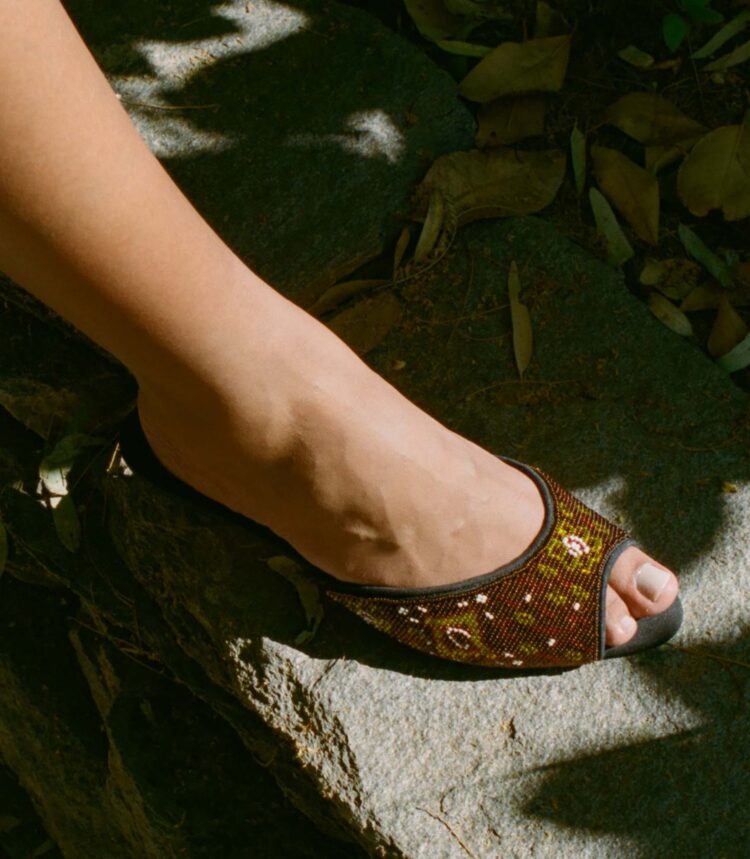 dahlia poland feet 6