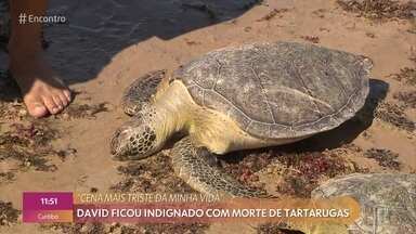 dainara pariz feet 6