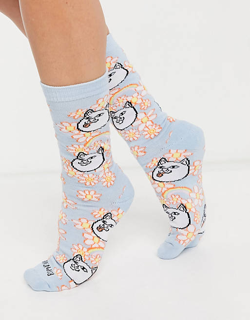 daisy dips feet 6