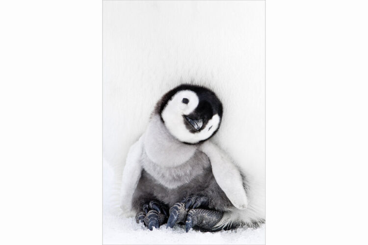 daisy gilardini feet 4