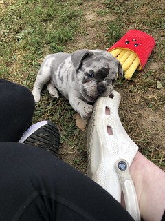 dakota warren feet 5