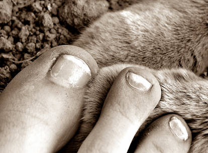 dalin cosplay feet 3