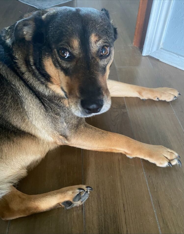 damaris rojas feet 3