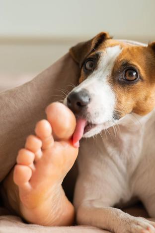 daneydy barrera feet 5