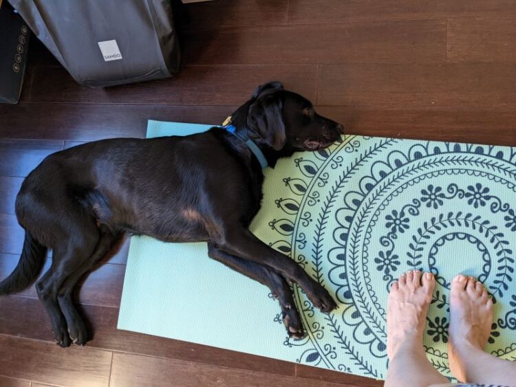 daniel bennett feet 4