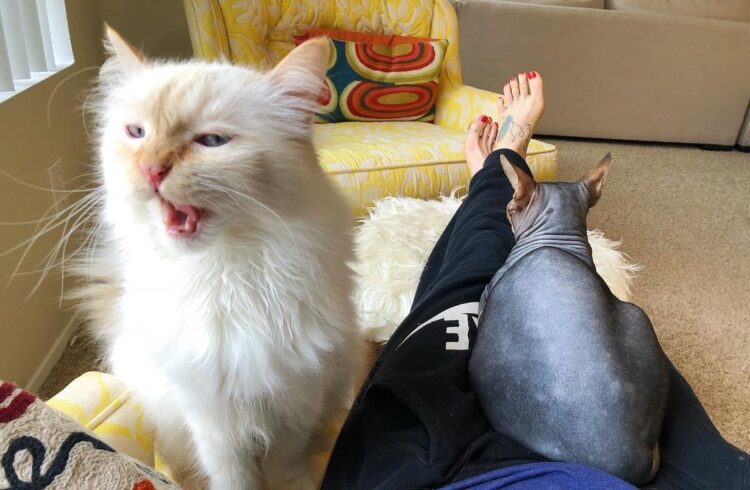 daniele donato feet 4