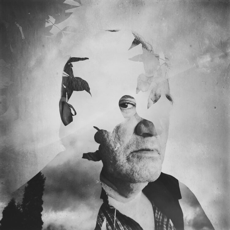 daniella zalcman feet 5