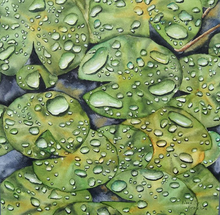 danielle beaulieu feet 5