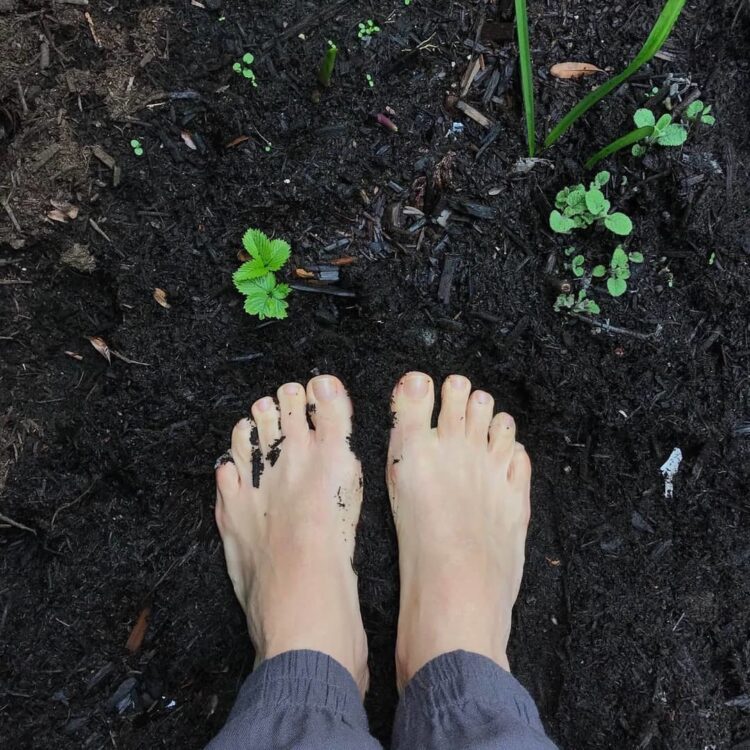 danielle laporte feet 1