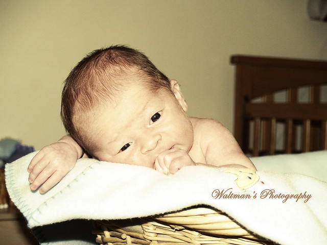 danielle waltman feet 5