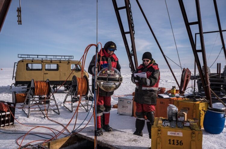 danijela stajnfeld feet 5