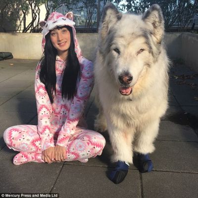 danny direwolf feet 1