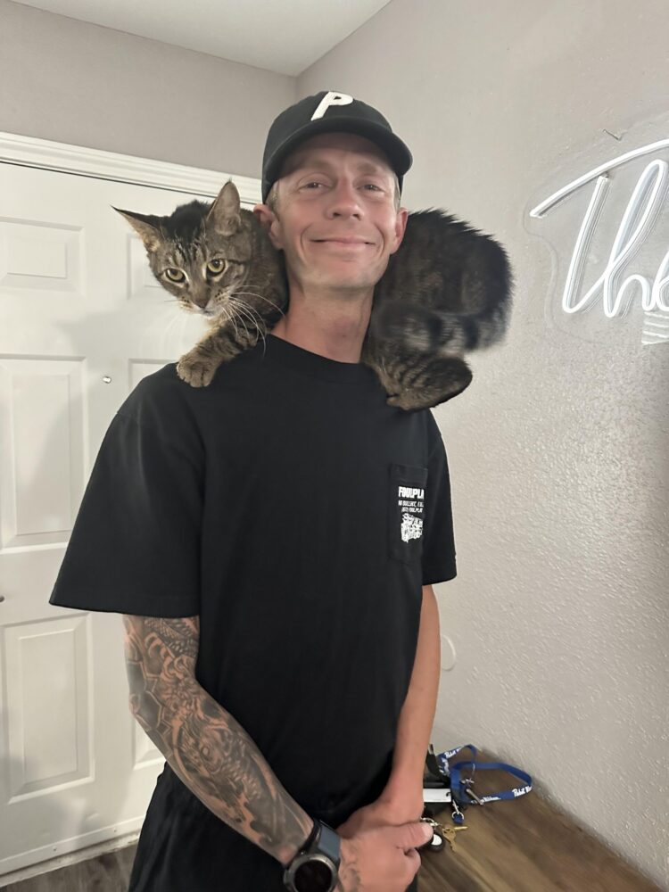 danyan cat feet 6 scaled