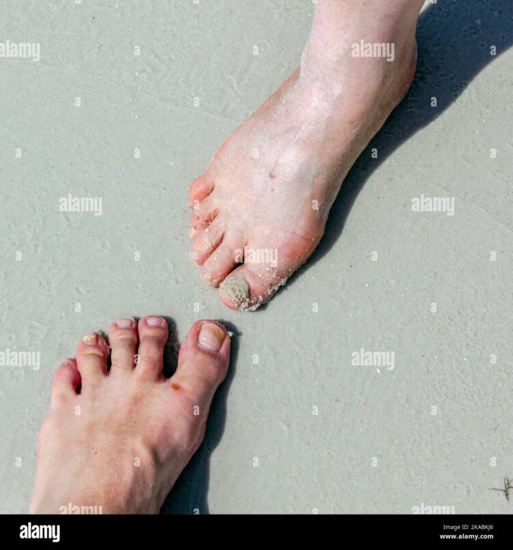 dasha gorshkova feet 3