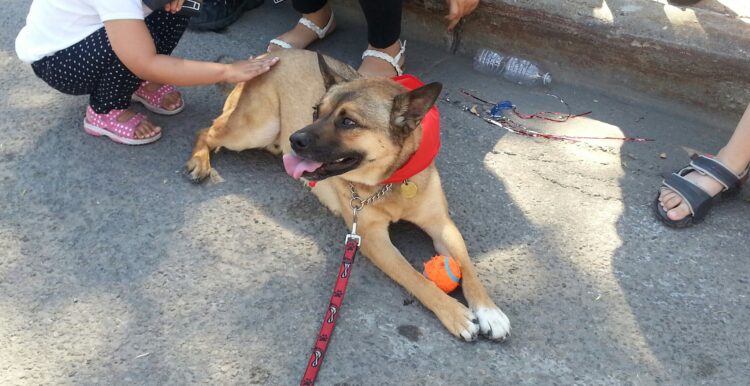 day christensen feet 5