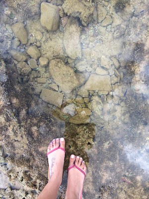 daylana espindola feet