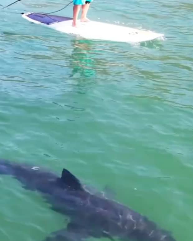 deadly encounter feet 3