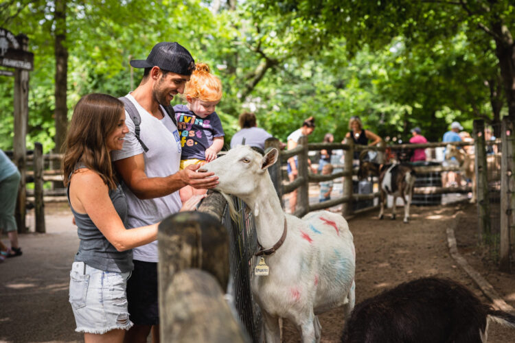 deana.rosee feet 6 scaled