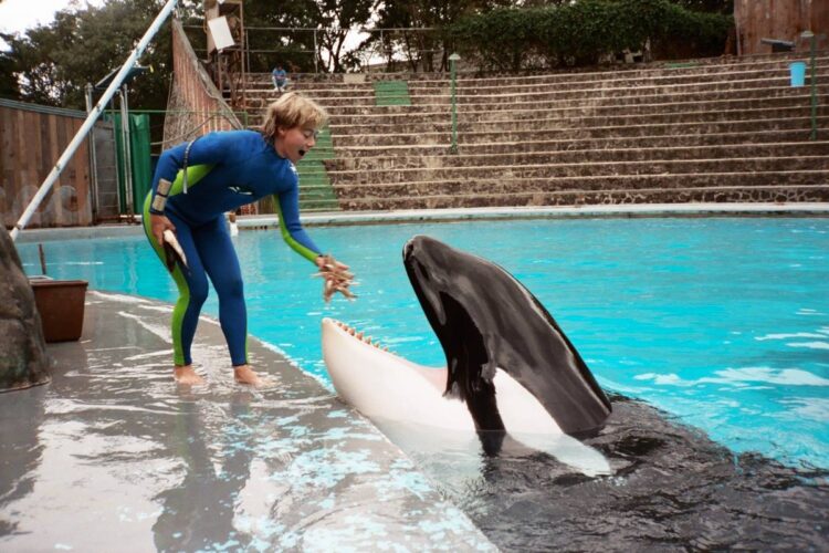 debi derryberry feet 2