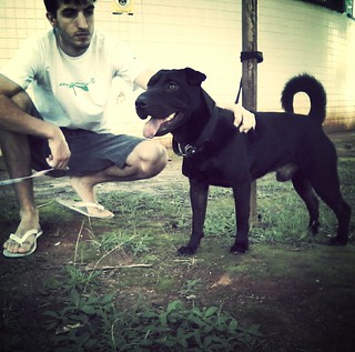 debora araujo feet 3