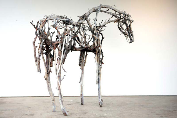 deborah butterfield feet 3