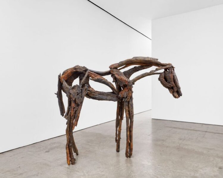 deborah butterfield feet 5