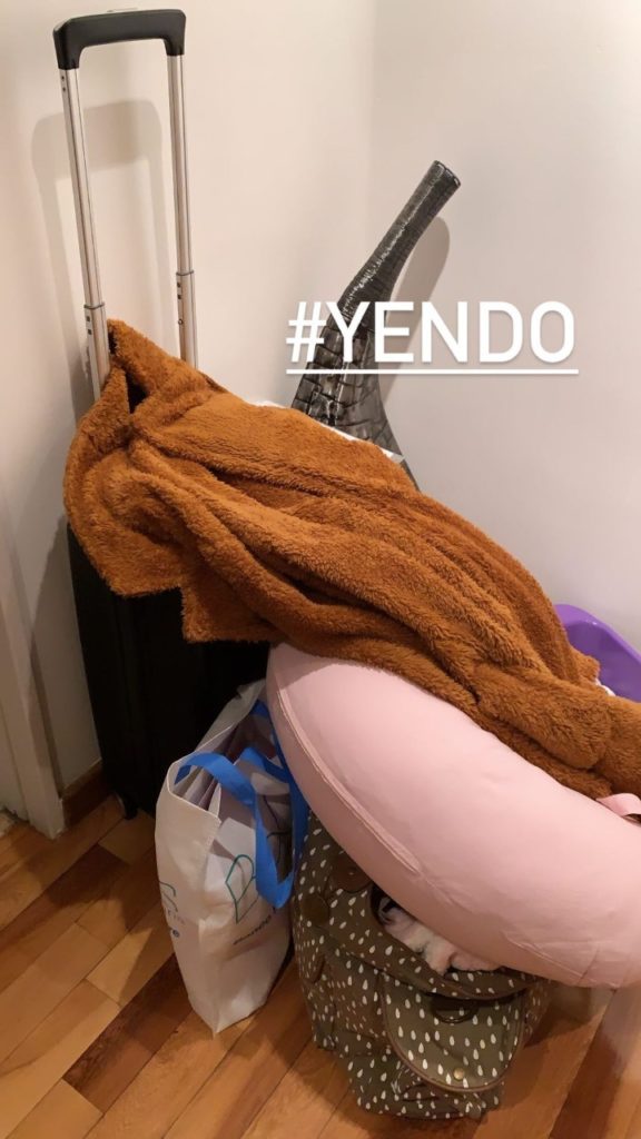 delfi ferrari feet 2