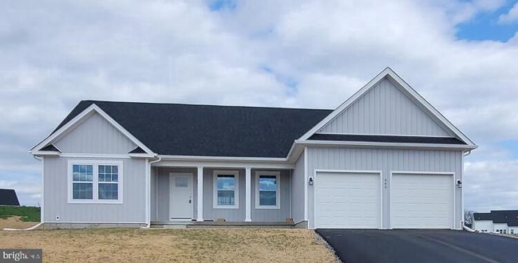 delisa stephenson feet 6