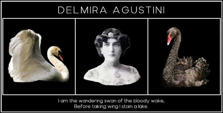 delmira agustini feet 1