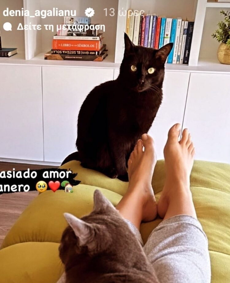 denia agalianu feet 4