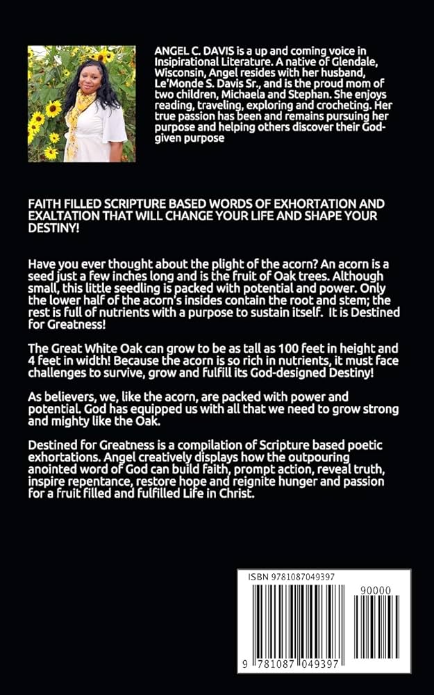 destiny angel feet 3