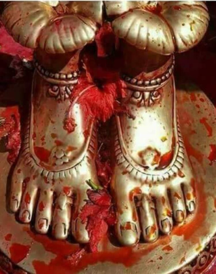 devi feet 2
