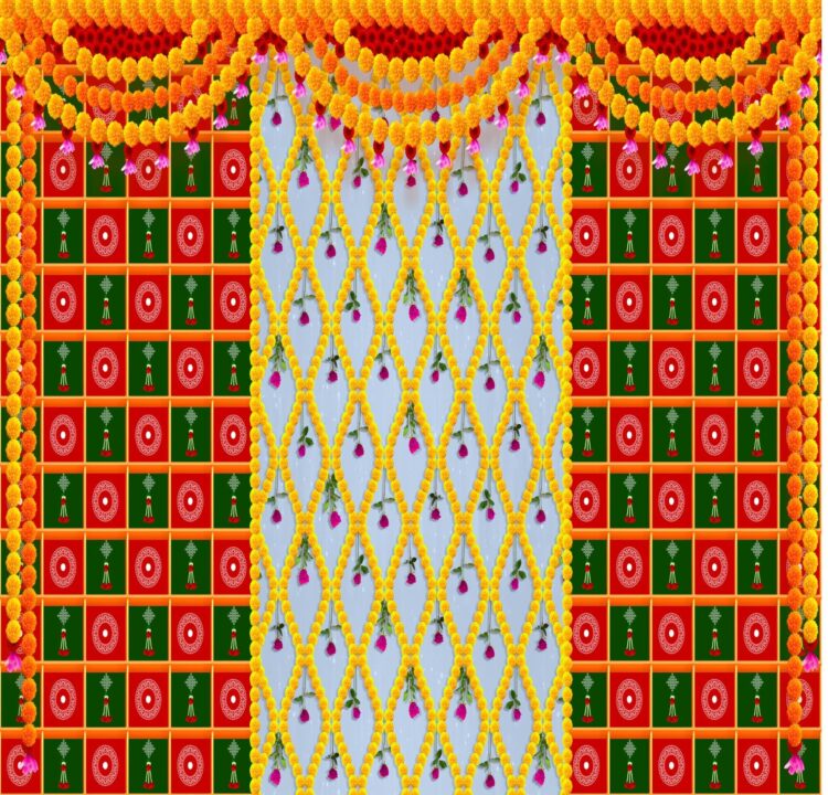 dhara zampirolli feet 6