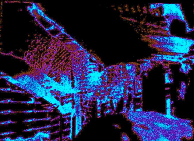 diamanda galas feet 1