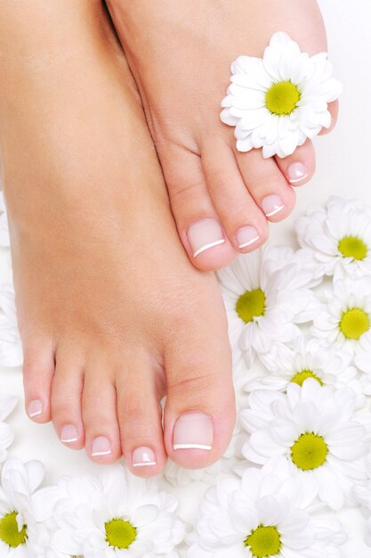 diana chamomile feet 6