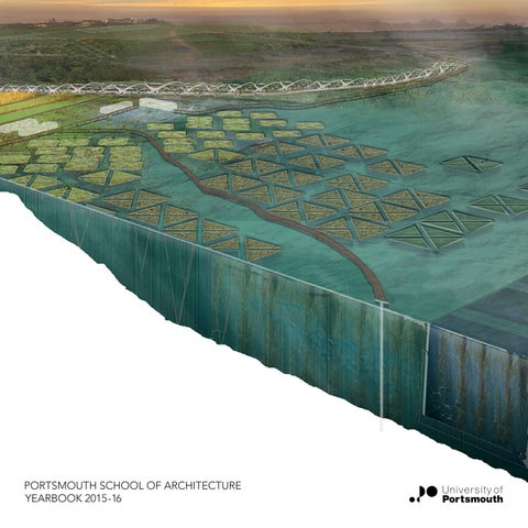 diana domnisor feet 6