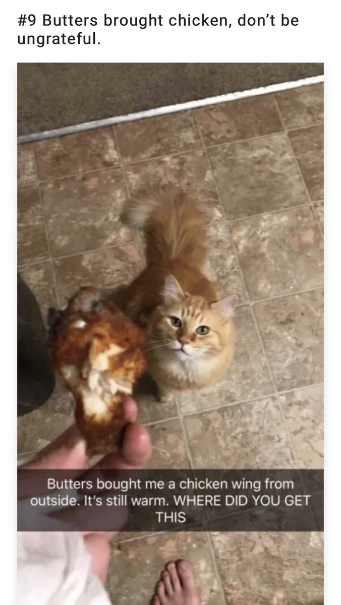 diana kaarina feet 3