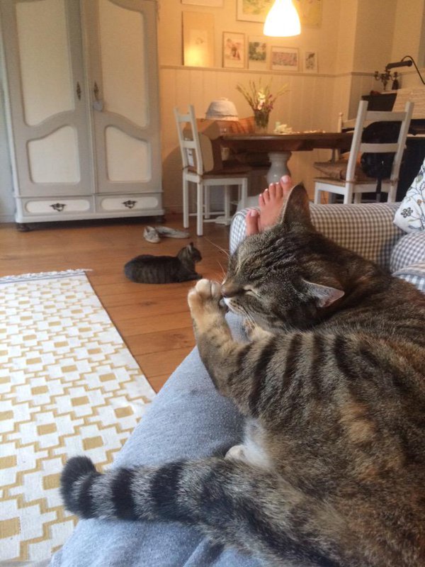 diana leeflang feet 2