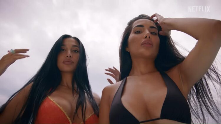 diana parsijani feet 3