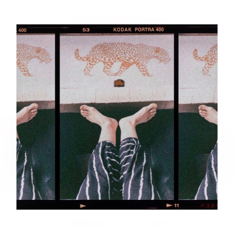 diana wiswell feet 6