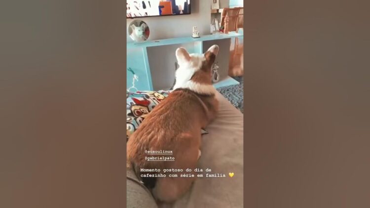 diana zambrozuski feet 1